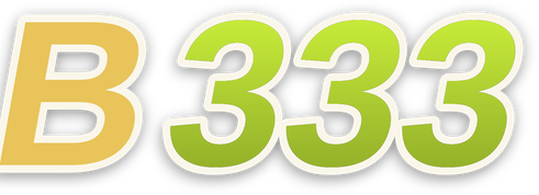 b333